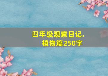 四年级观察日记. 植物篇250字